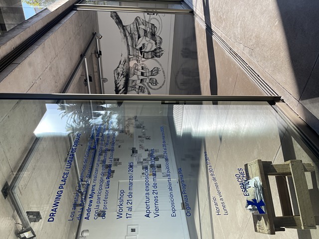 Wolf Legs/Patas de Lobo (installation)