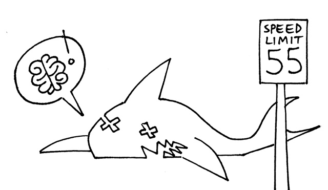 Beached Zombie Shark