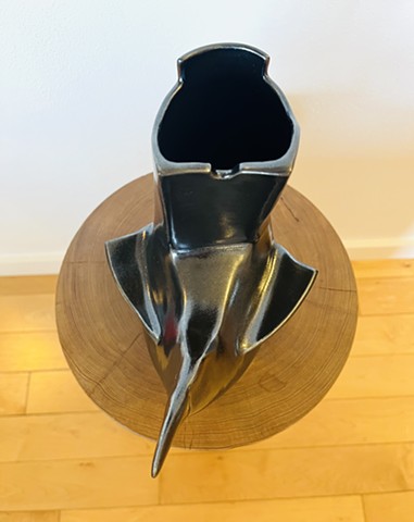 shiny black curvy crow detail