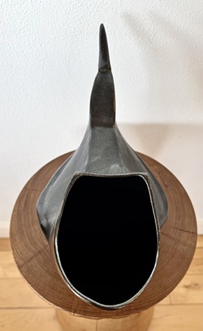 Black sleek crow large detail