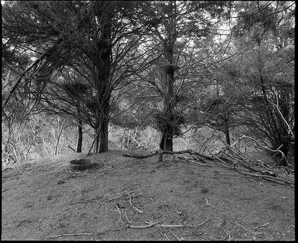Hope Island Birds Nests