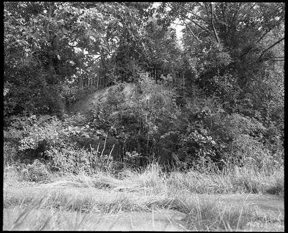 Prudence Island Summer
