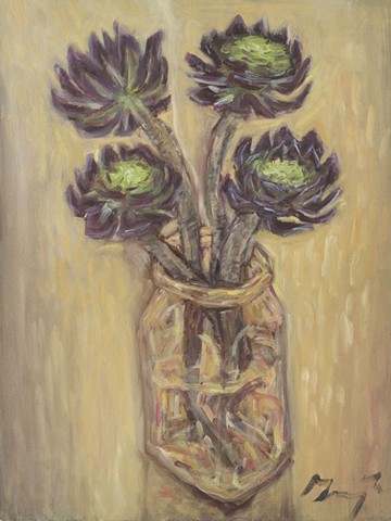 Purple Aeonium
