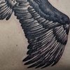 Tabitha the black vulture for Lyn
