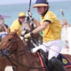 Miami Polo Video