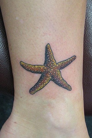 Star Fish
