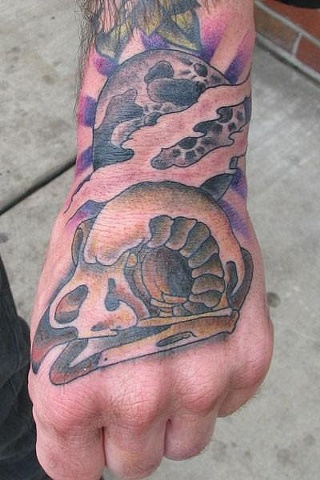 Chris Bost's Owl Skull 