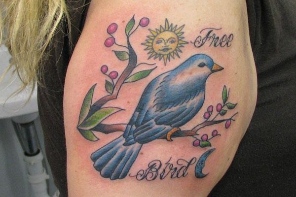 Bird design by Katie Sellergren