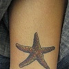 Star Fish (healed)

