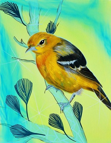 Oriole painting by Anna Todaro Sadur