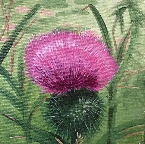 Thistle painting by Anna Todaro Sadur