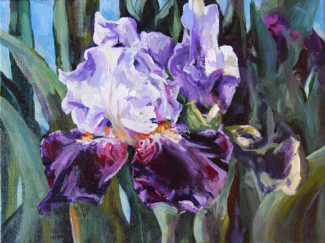 Iris Study 1