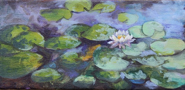 Palo Alto Waterlilies 