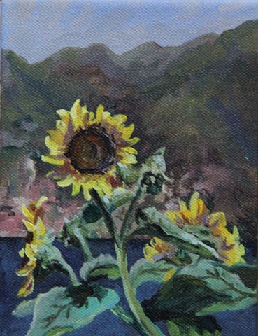 Sunflowers in the Village of Lezzeno, on the Lake Como