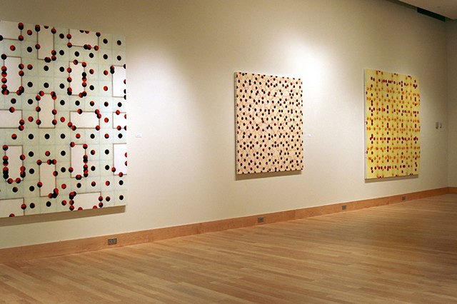 Installation "Particularities and Abstraction" Towson University 2008