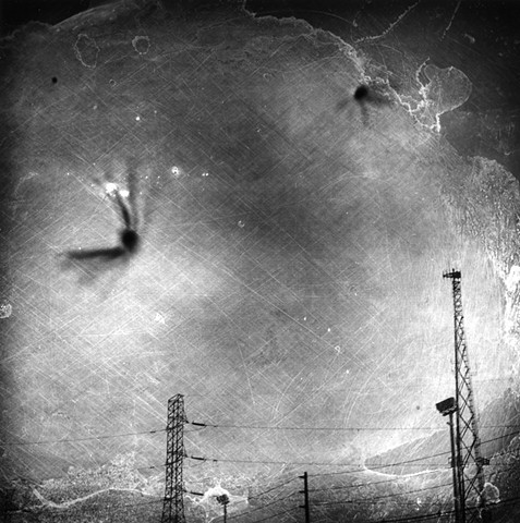 Untitled from the series Instinct and the Garden