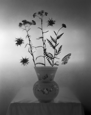 Untitled (Bee Balm and Yarrow)