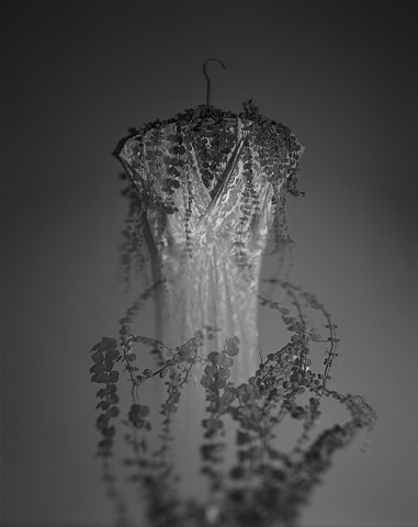 Untitled (Wedding Dress with Vines)