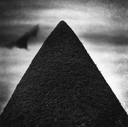 Untitled from the series Instinct and the Garden