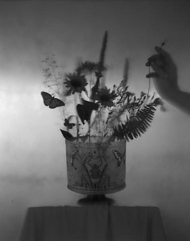 Untitled (Butterfly Vase)