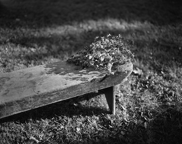 Untitled (Flowers on Bench)