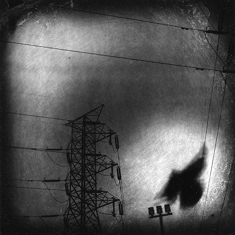 Untitled from the series Instinct and the Garden