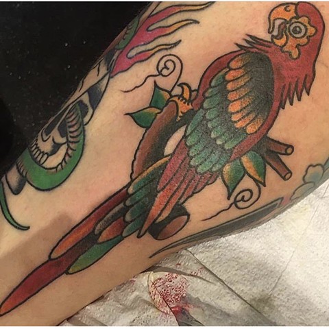 Traditional Bird tattoo
