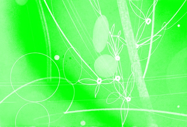 Bamboo Branch (green inverted)