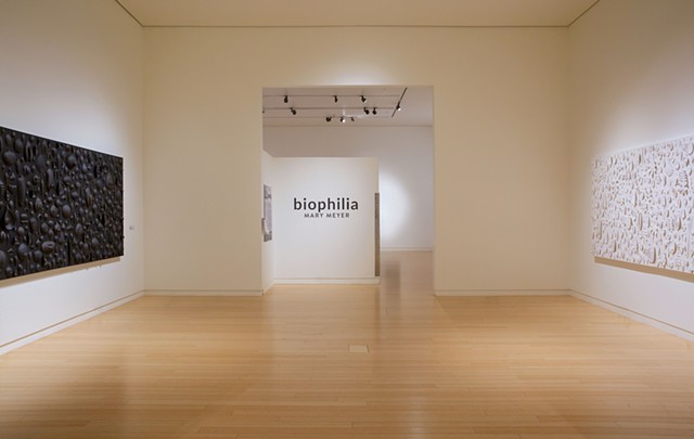 Biophilia | Solo Exhibition | Mesa Contemporary Arts Museum