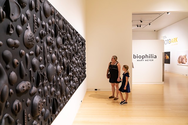 Biophilia (seeds) | gallery view