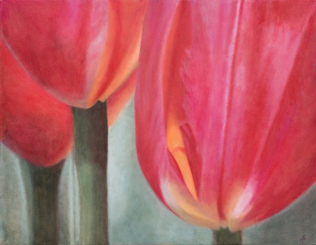 Tulip Stems