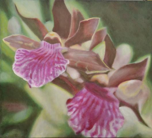 Spray of Magenta Orchids