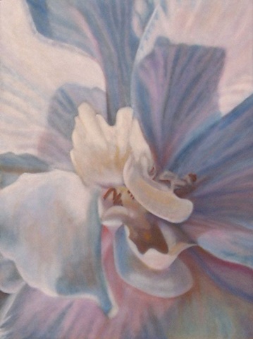 Delphinium Blossom