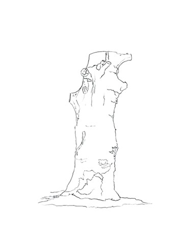 Hermit Loops