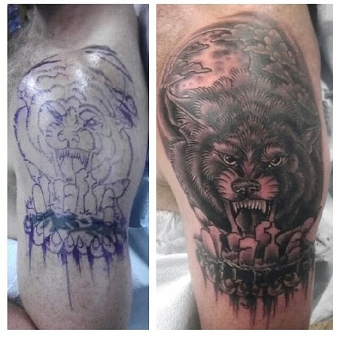 Wolf cover-up