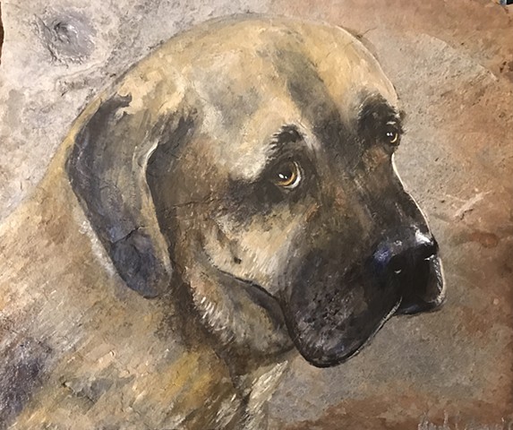 Pet portrait