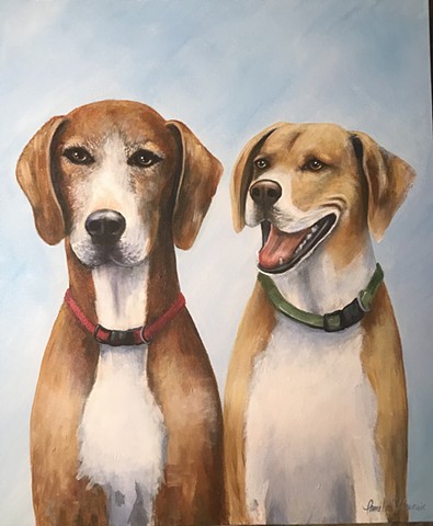 Pet portrait