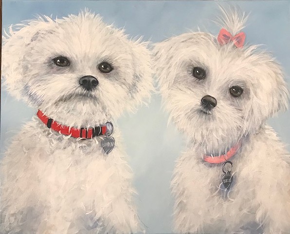 Pet portrait
