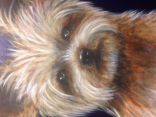 Pet Portrait "Biscuit"