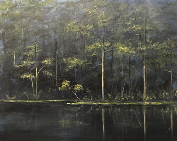 Night in the swamp