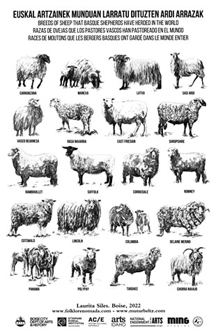 EUSKAL ARTZAINEK MUNDUAN LARRATU DITUZTEN ARDI ARRAZA
BREEDS OF SHEEP THAT BASQUE SHEPHERDS HAVE HERDED IN THE WORLD
RAZAS DE OVEJAS QUE LOS PASTORES VASCOS HAN PASTOREADO
EN EL MUNDO