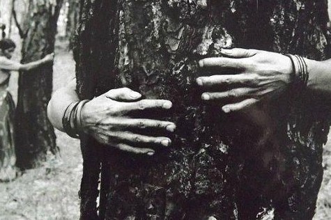 Women of the Chipko Movement hugging trees in India in the early 1970's, Wikipedia Free Use Common Image cropped detail