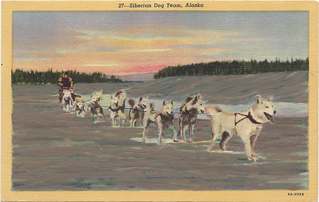 Dog Team Alaska