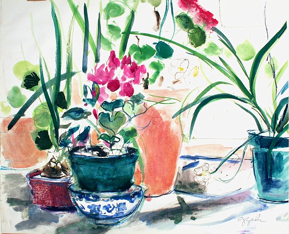 Cyclamens on Windowsill
