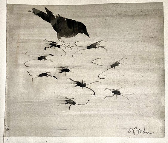 Warbler with Crickets