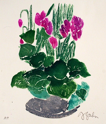 Cyclamens 2005