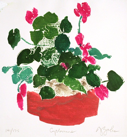Cyclamens 2006