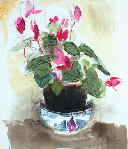 Yves' Cyclamen