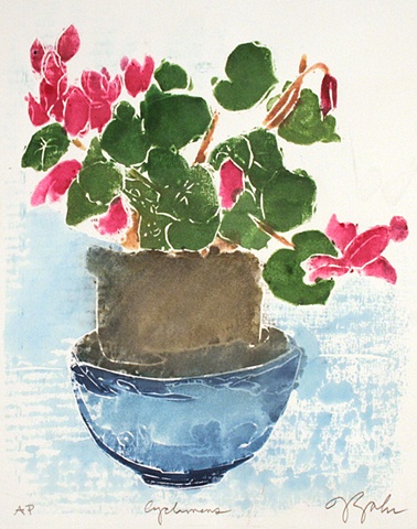 Cyclamens 2002