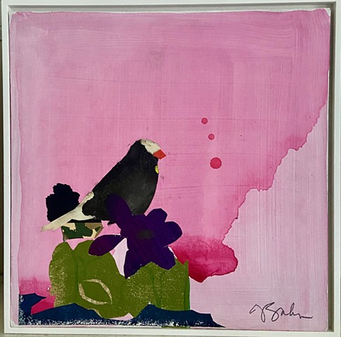 Warbler on Pink